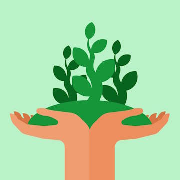 Lectura de tarot sobre crecimiento personal.